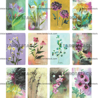 Flower Medicine Oracle Deck by Cathy Nichols - 13 to 24 Flower Cards