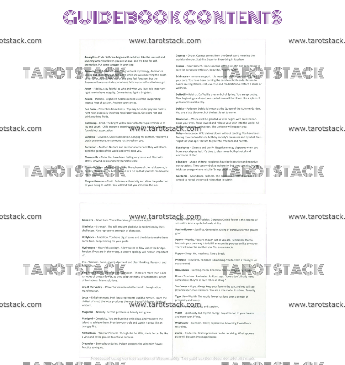 Flower Medicine Oracle Deck By Cathy Nichols - Contents Of Guidebook