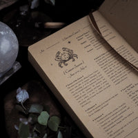 Open book with astrological text and zodiac sign illustration on a natural background