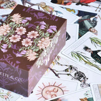 metanoia marseille tarot 3rd edition box up close