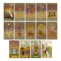 the lighted window tarot | pentacles