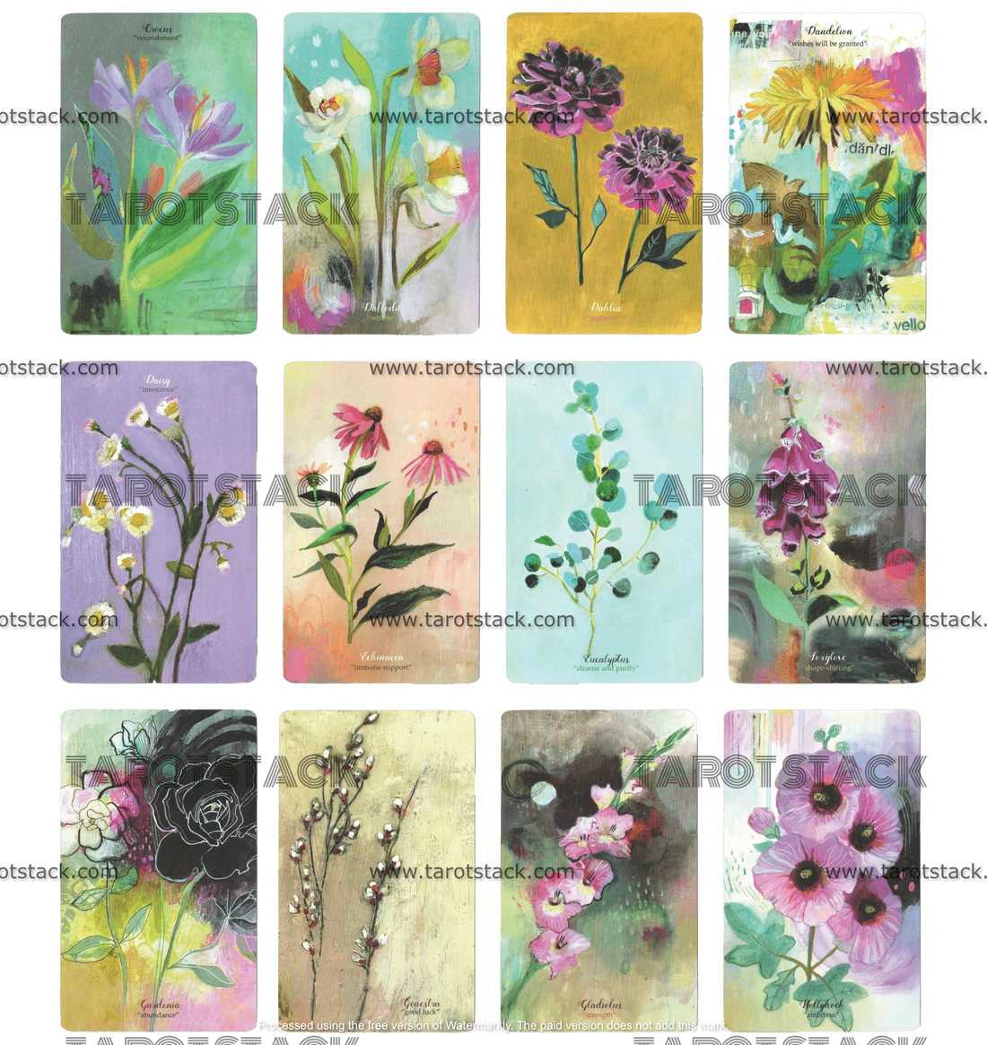 Flower Medicine Oracle Deck by Cathy Nichols - 13 to 24 Flower Cards