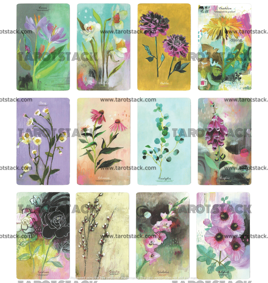 Flower Medicine Oracle Deck by Cathy Nichols - 13 to 24 Flower Cards