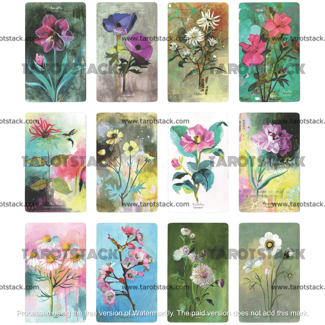 Flower Medicine Oracle Deck by Cathy Nichols - First 12 Flower Cards