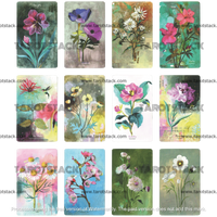 Flower Medicine Oracle Deck by Cathy Nichols - First 12 Flower Cards
