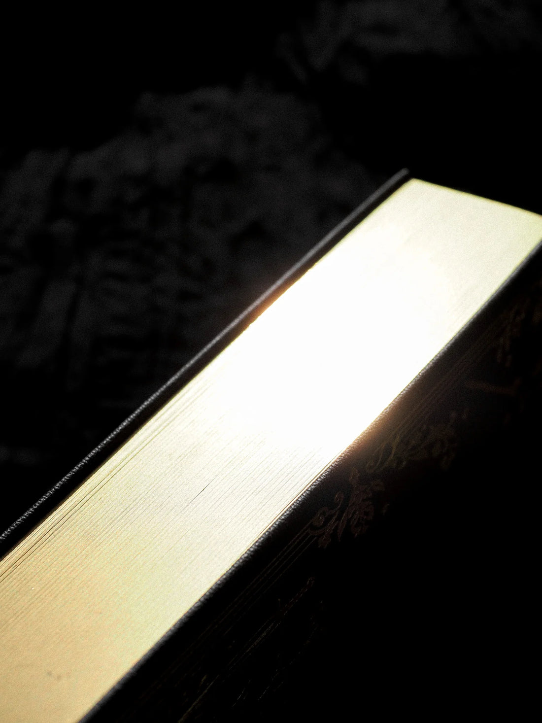 journal with gold edges