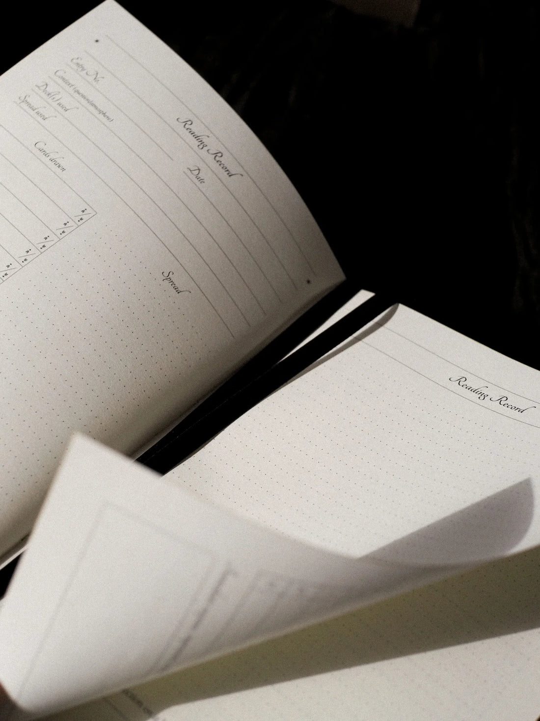 journal preview of the "Reading Record" page.