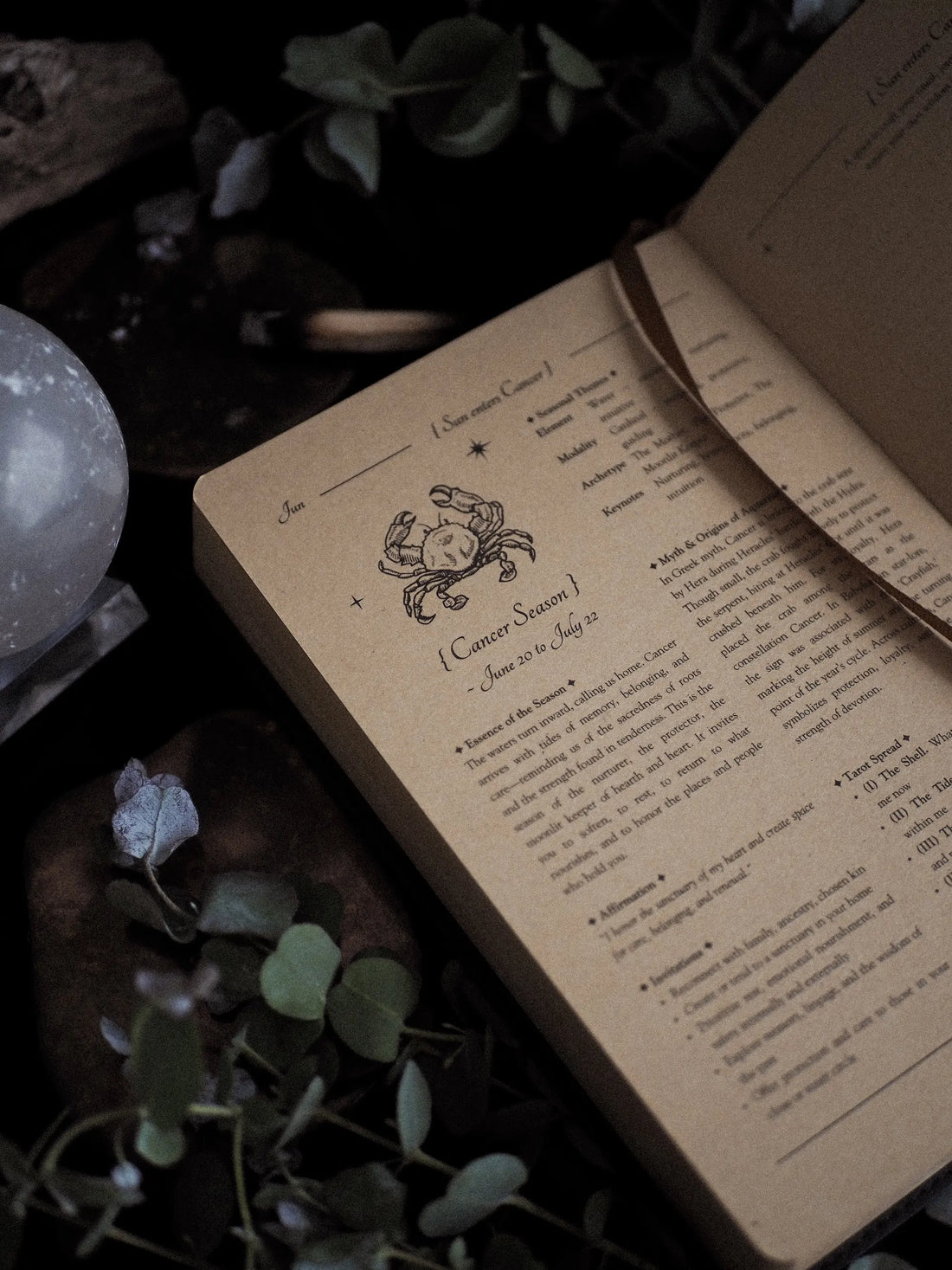 Open book with astrological text and zodiac sign illustration on a natural background