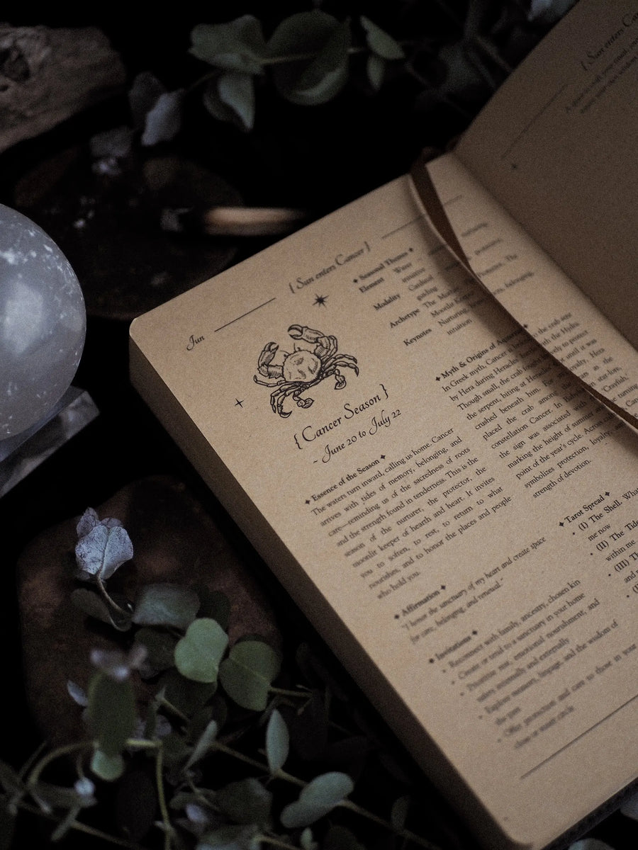 Open book with astrological text and zodiac sign illustration on a natural background