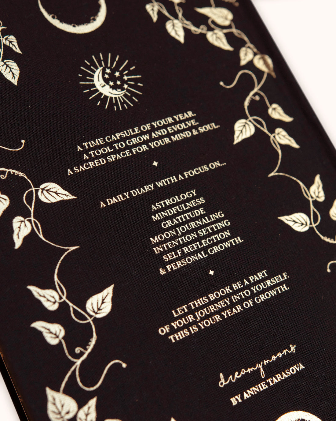 2027 Year of Growth Book by Dreamy Moons