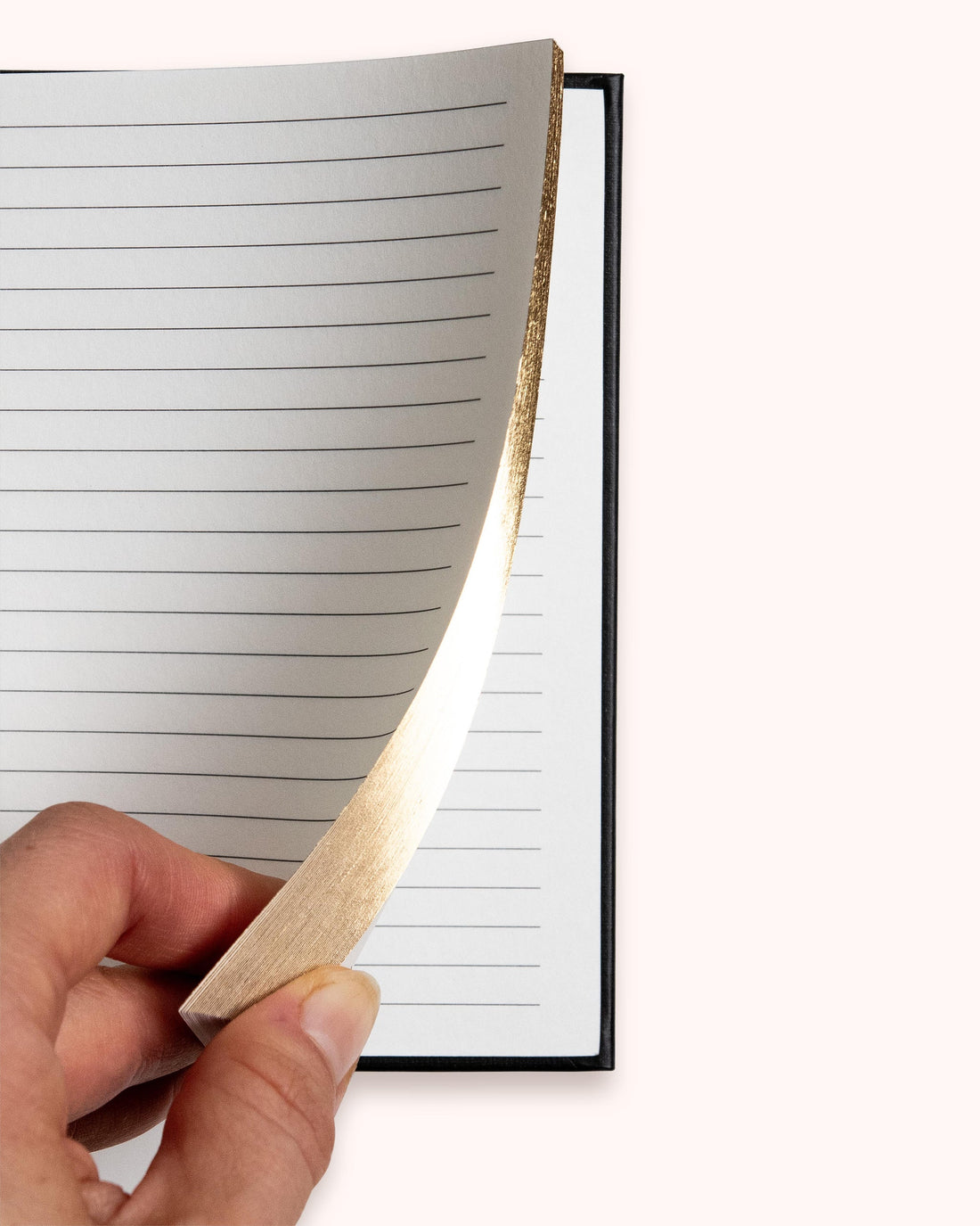 dreamy moons journal | preview of inside