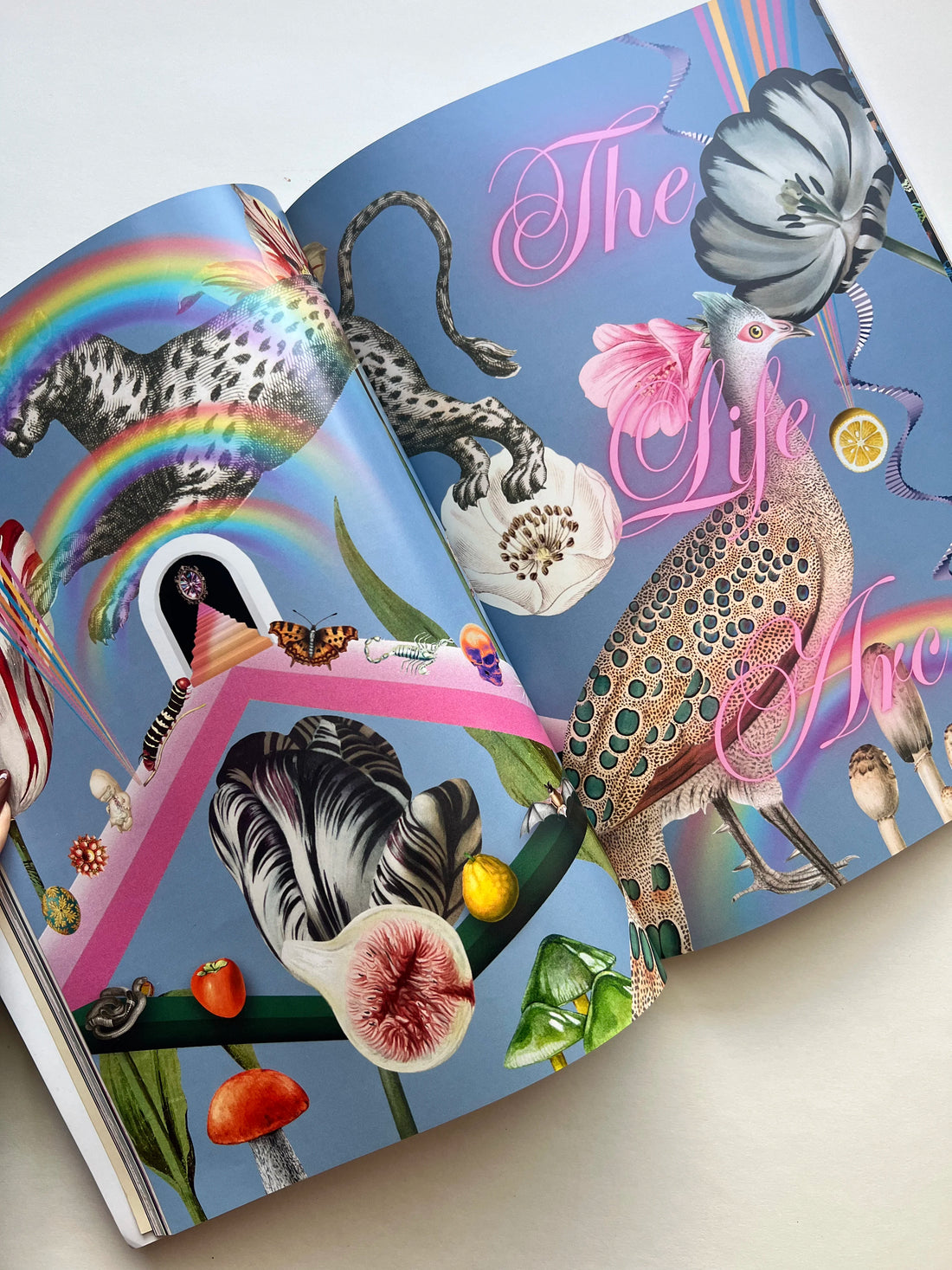 magazine of fertile void tarot | Colorful artwork