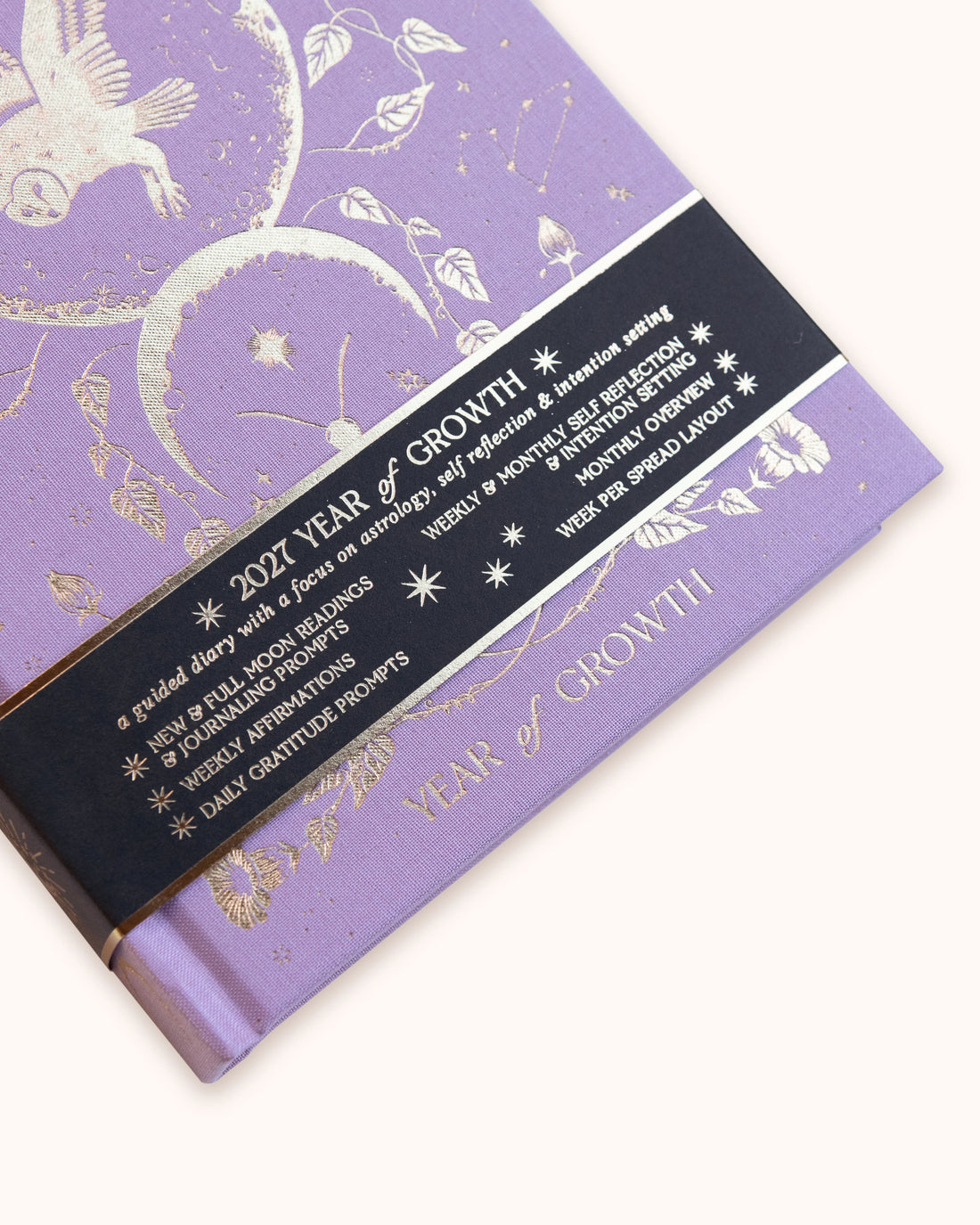 2027 Year of Growth Book by Dreamy Moons