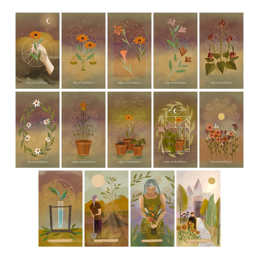 the lighted window tarot | pentacles